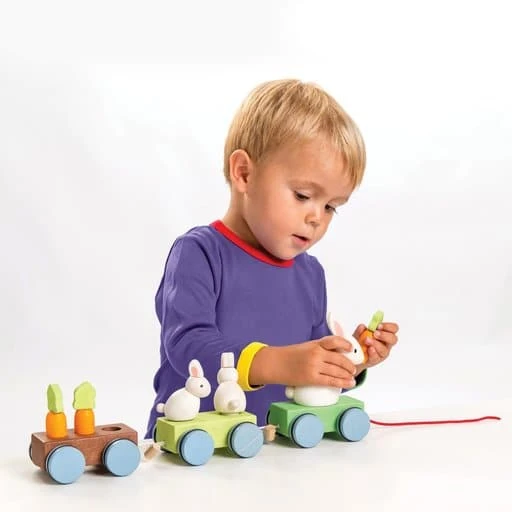 Le Toy Van Bunny Train - Image 3